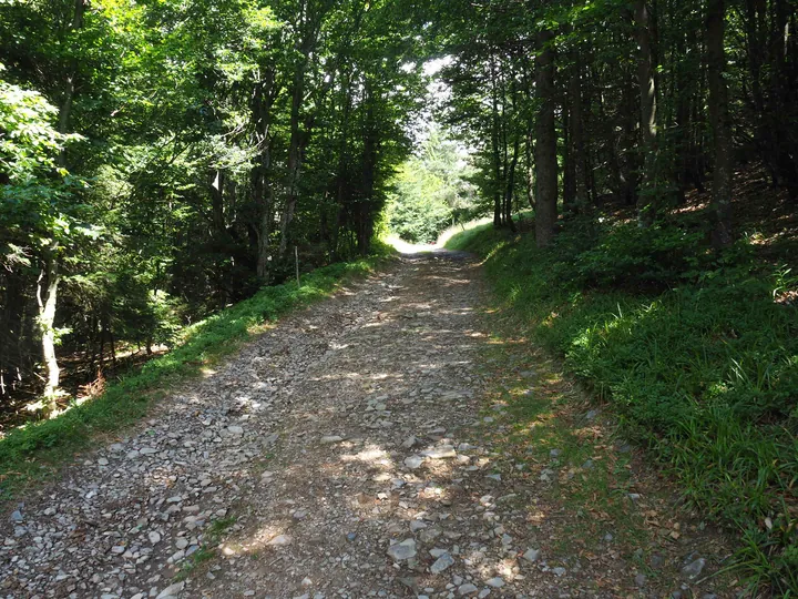 Le Grand Ballon (Frankrijk)